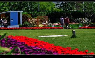 植物园在线观看,在线探索植物园的奇妙之旅  第2张
